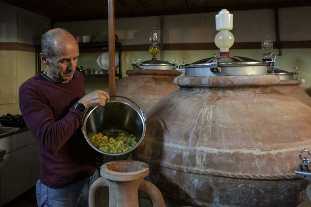 Neos: il vino marino che nasce dalle acque dell’Elba