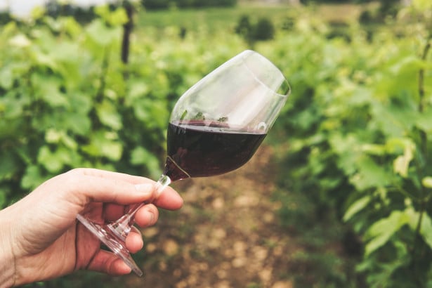 Le origini del vino tra mito e storia