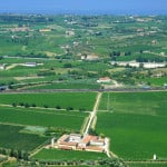 Bellora