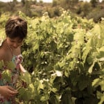 Tenuta Benedetta