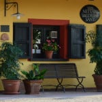 Nettare dei Santi