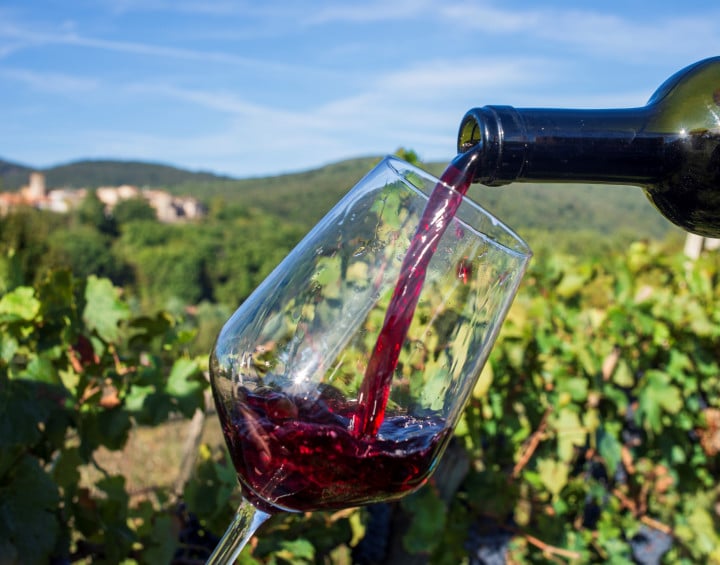 Quali sono i migliori vini Umbria DOC e Docg