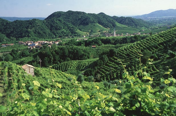 Vino e territorio: l’influenza del paesaggio sulla produzione vinicola italiana
