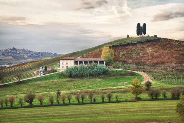Cantine piemontesi famose: quali visitare per chi ama l’arte
