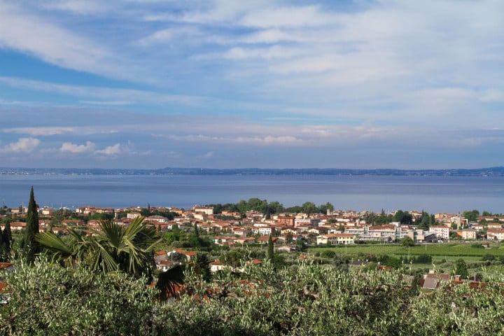 Vino Bardolino: origini e caratteristiche