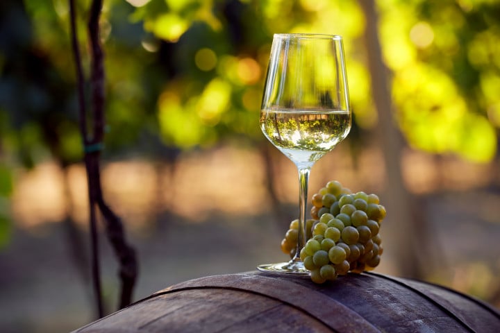 Chardonnay: alla scoperta delle sue caratteristiche