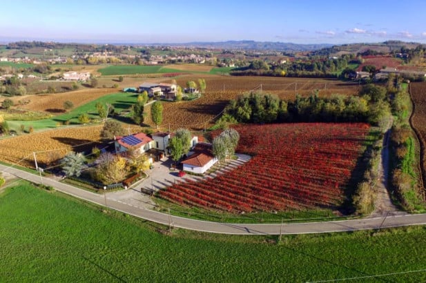 Lambrusco: il vino rosso frizzante più venduto d’Italia