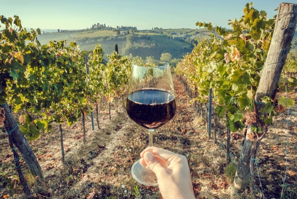 Quali sono i vini più venduti in Italia?
