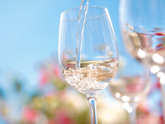 Come scegliere il vino giusto per il pranzo di Pasquetta: guida completa